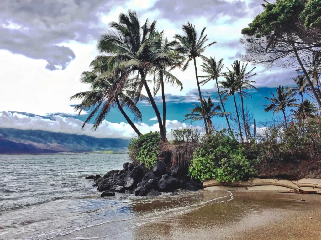 Drone Pilot for Shoot in Maui, Hawaii