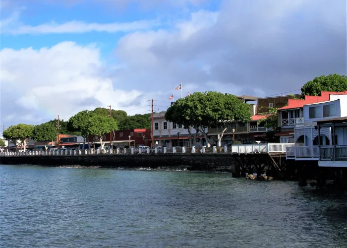 Drone Pilot for Shoot in Hilo, Hawaii