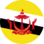 Brunei Flag