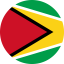Guyana Flag