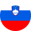 Slovenia Flag