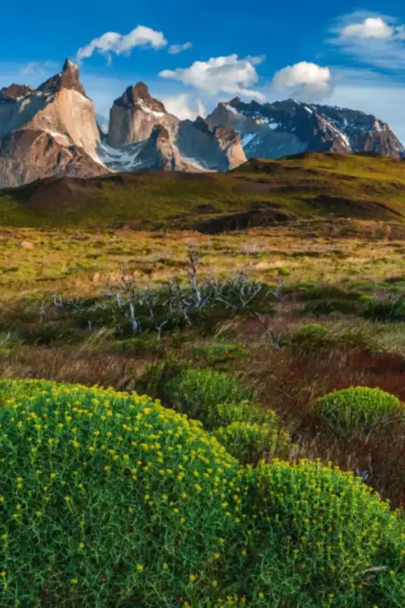 Parque Nacional Torres del Paine