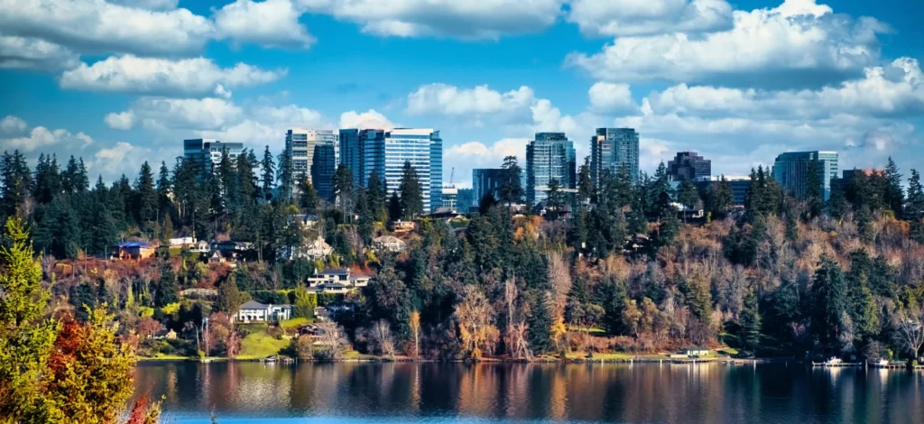 Drone Pilot for Shoot in Bellevue, Washington