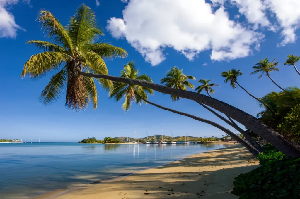 Drone Pilot for Shoot in Nadi, Fiji