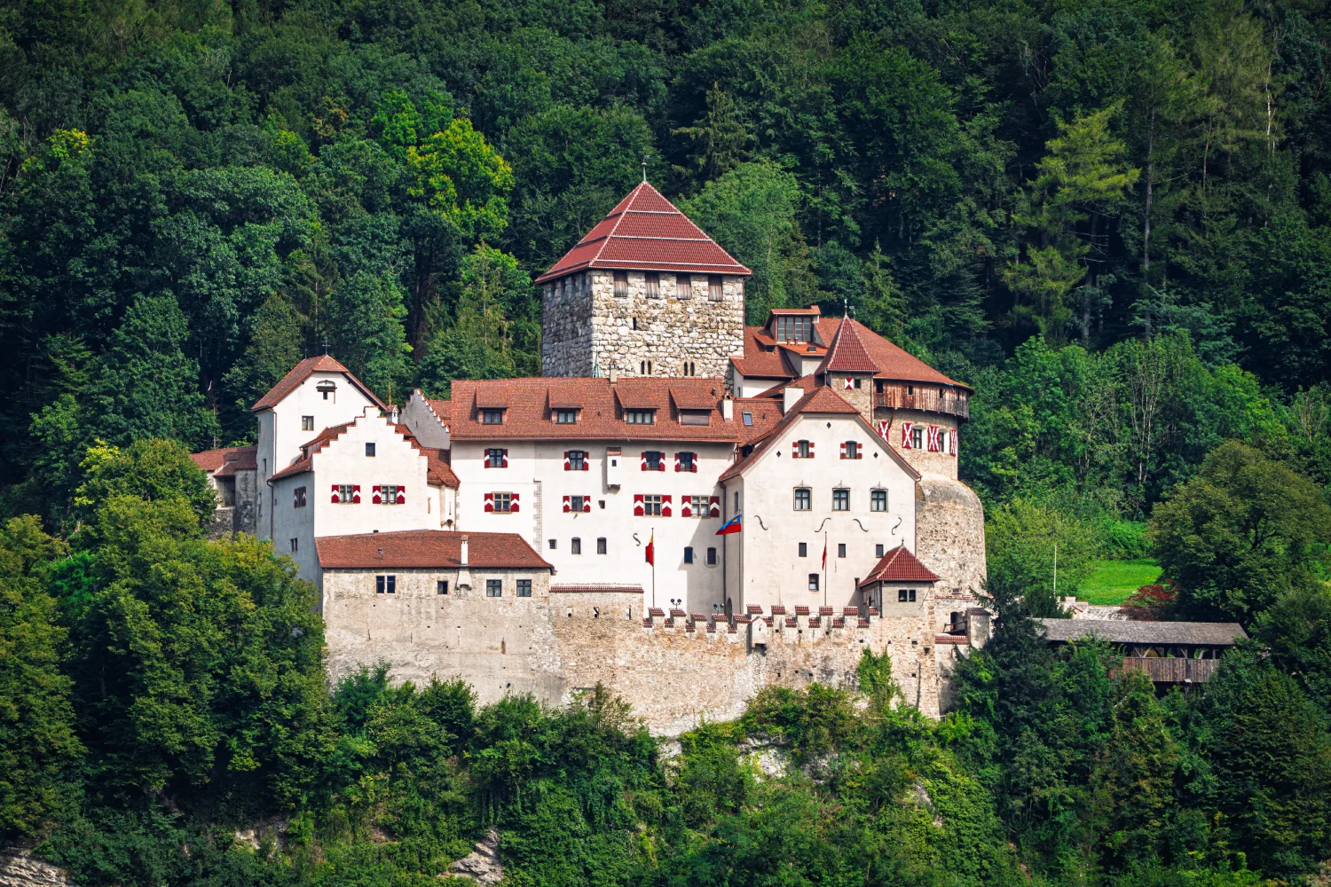 Drone Pilot for Shoot in Vaduz Capital of Liechtenstein
