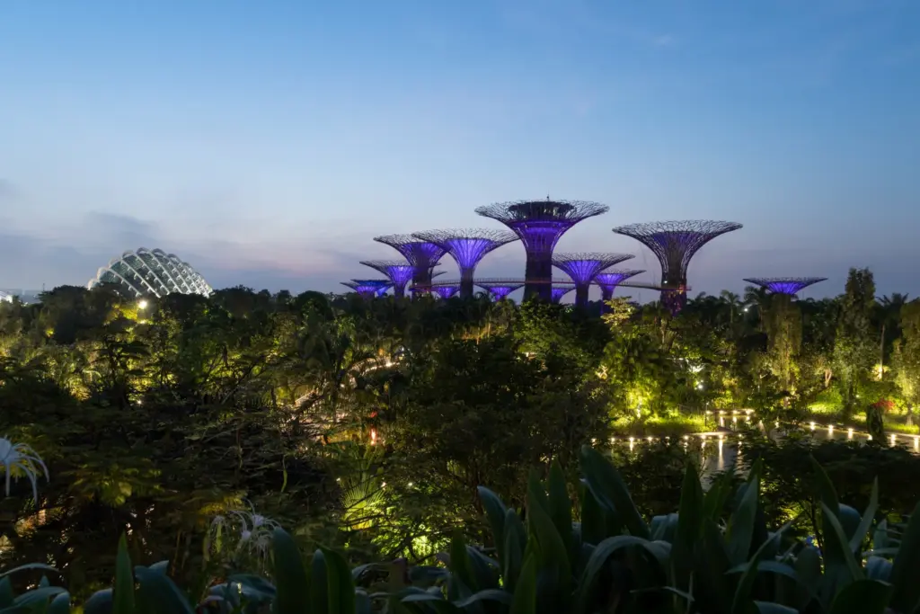 Drone Pilot for Shoot in Gardens by the Bay