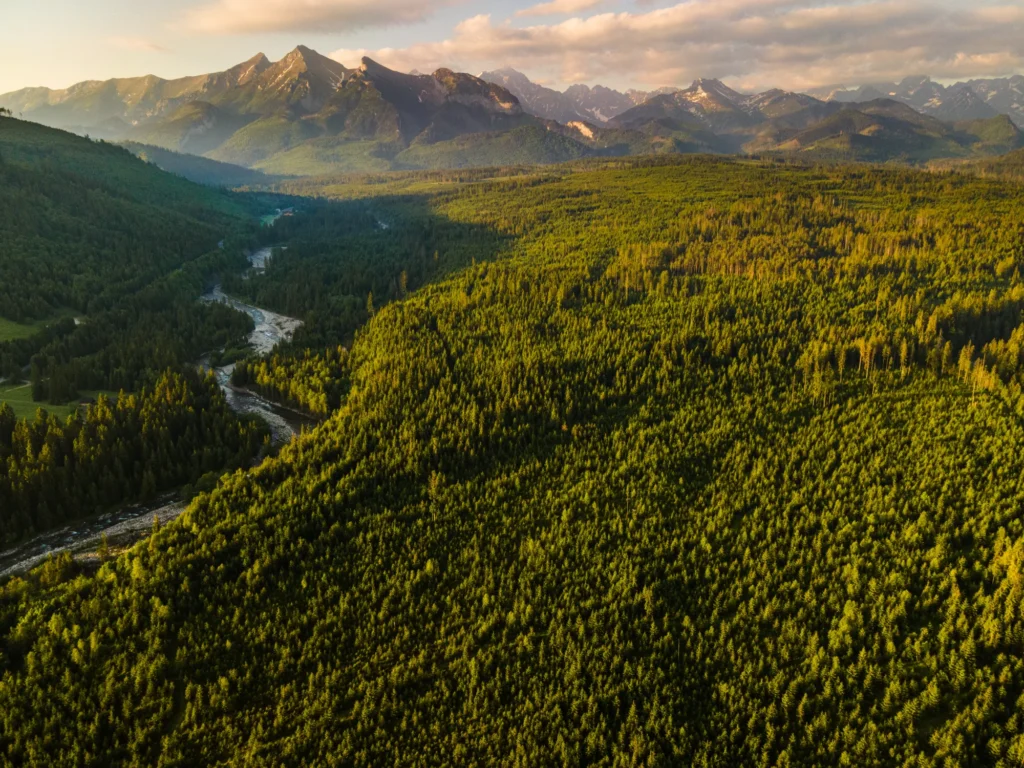 Drone Pilots by Shoot in Alaska