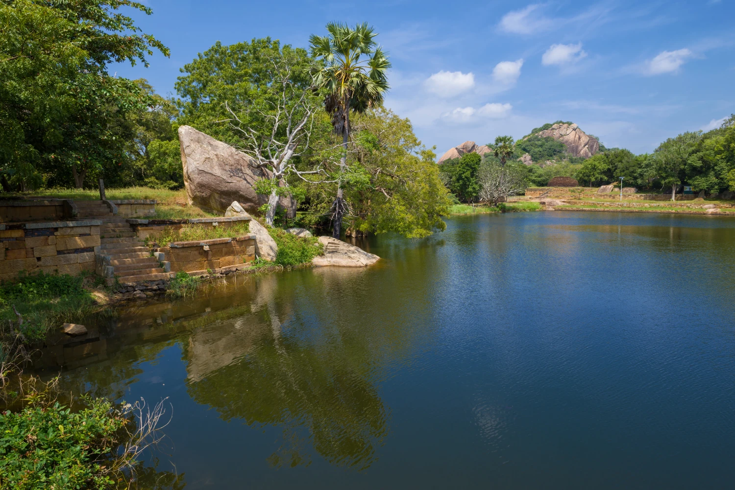 Guindy National Park