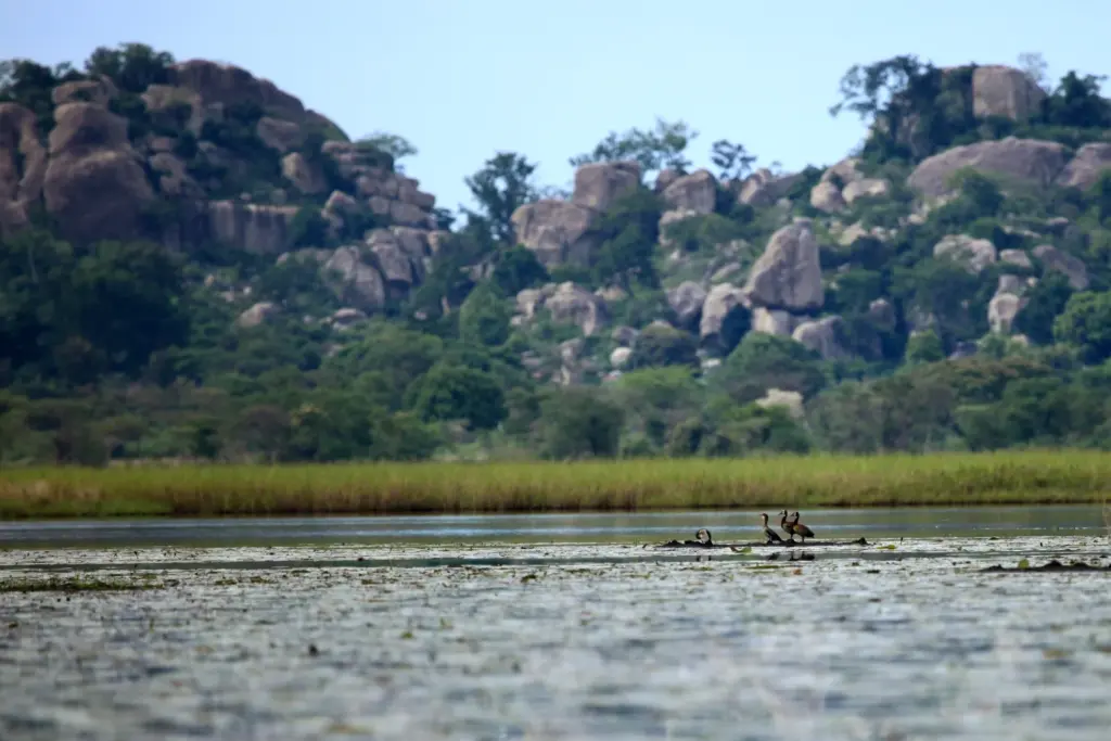 Niokolo-Koba National Park