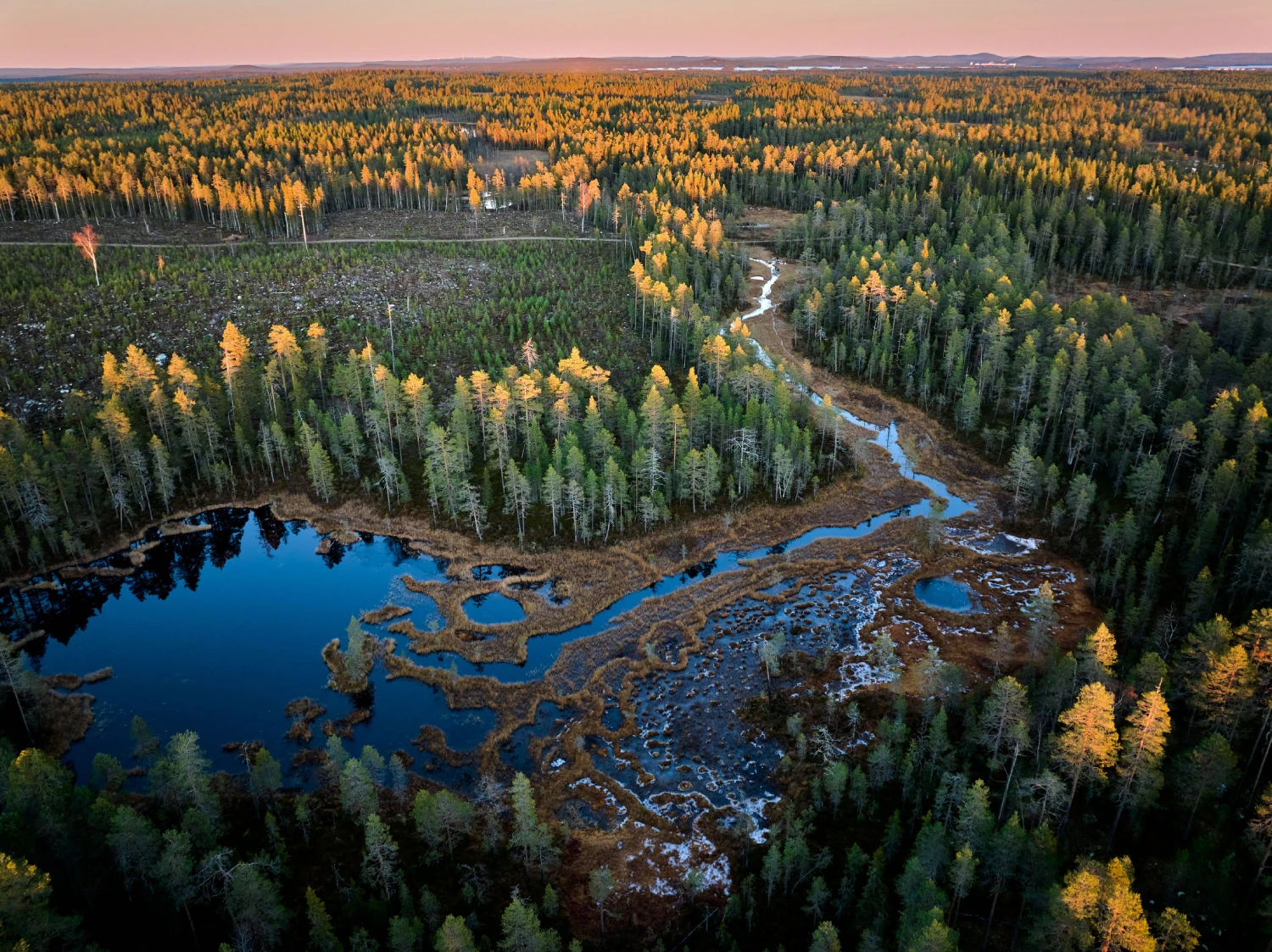 aerial-forest-landscape-at-sunset in Benin