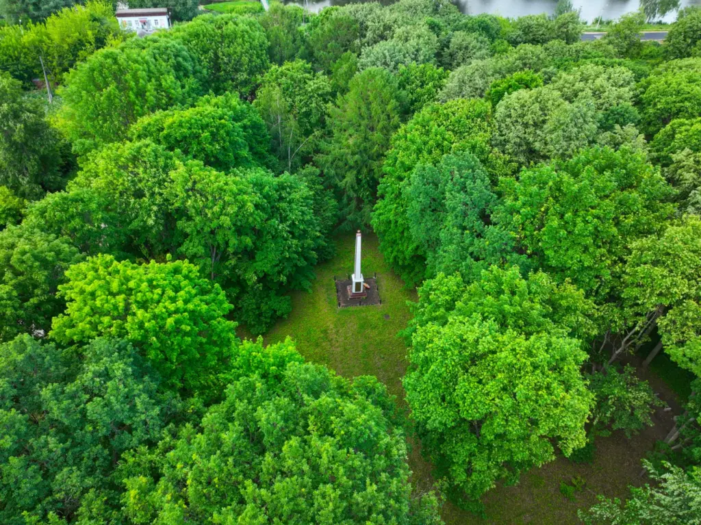 aerial view of Cubbon Park