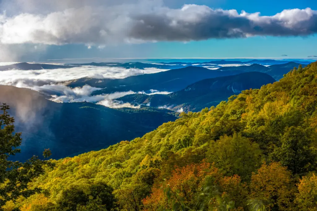 early-morning-autumn-foggy