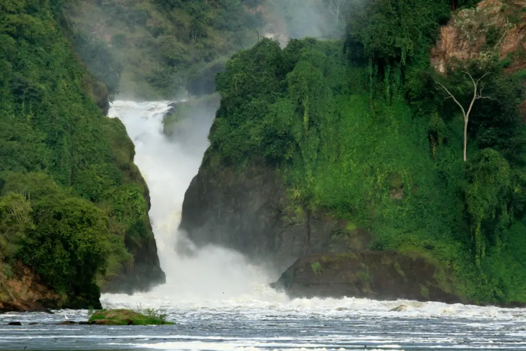 murchison-falls-np-uganda-africa