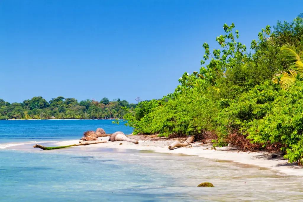 Drone Pilots for Shoots in Cameroon