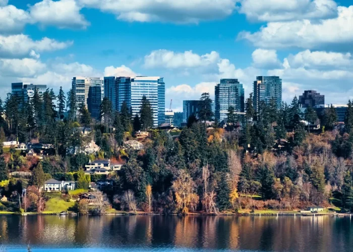 Drone Pilot for Shoot in Bellevue, Washington