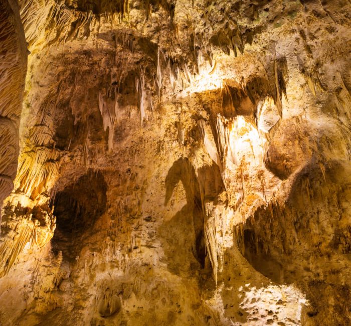 Carlsbad Caverns National Park (1) (1) Carlsbad Caverns National Park (1) (1)