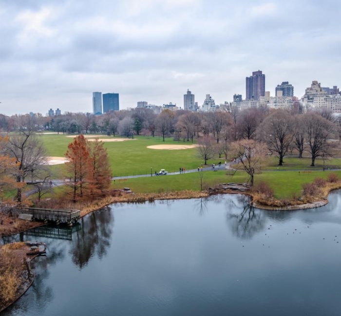 Central Park Central Park