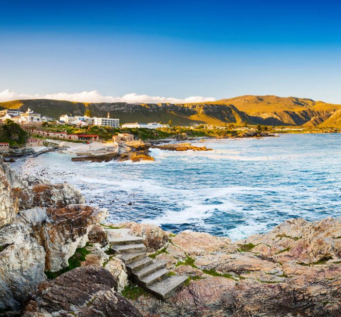 Hermanus (1) (1) Hermanus