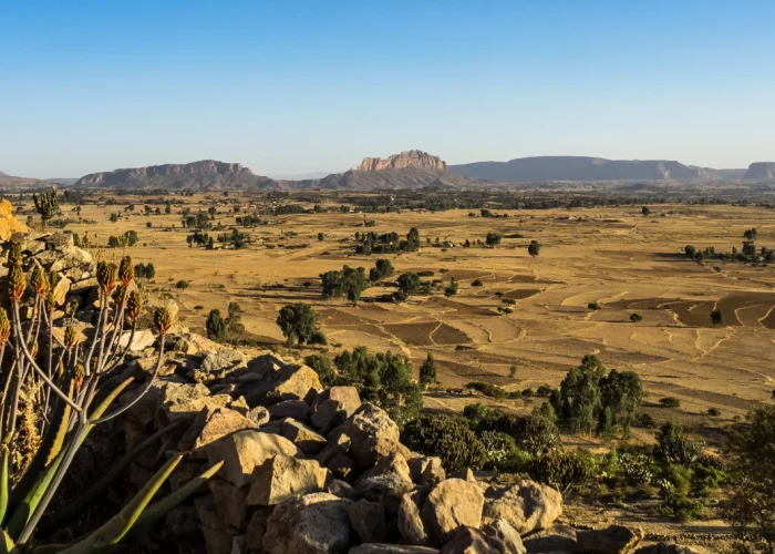Kigwena Nature Reserve