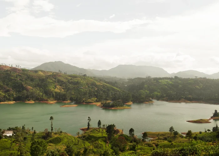 Lake Kivu Island