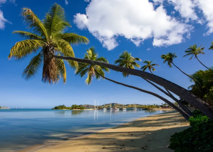Drone Pilot for Shoot in Nadi, Fiji