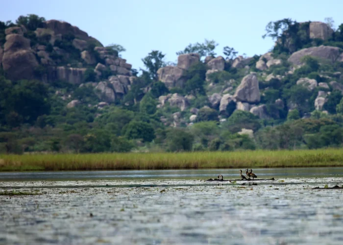 Niokolo-Koba National Park