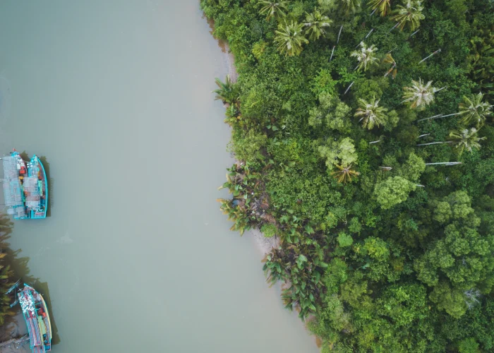 Drone Pilots for shoots in Kerala