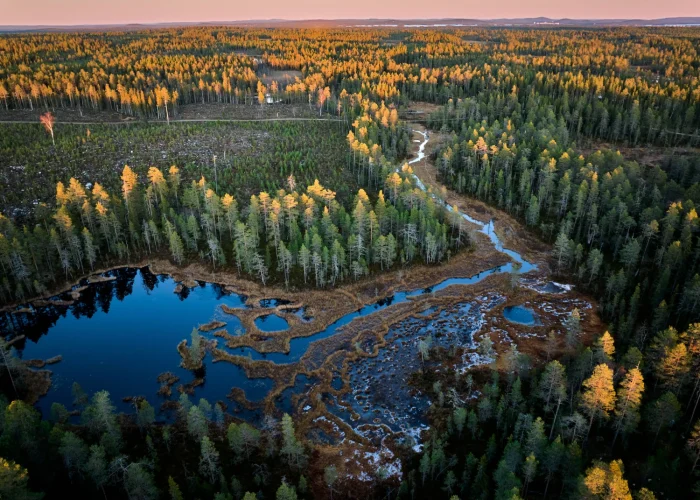 aerial-forest-landscape-at-sunset in Benin
