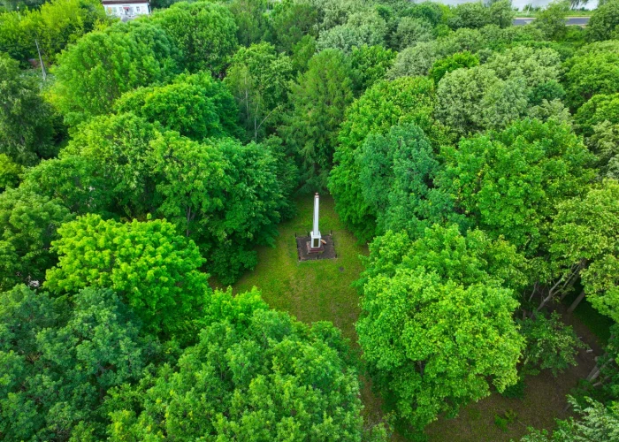 aerial view of Cubbon Park