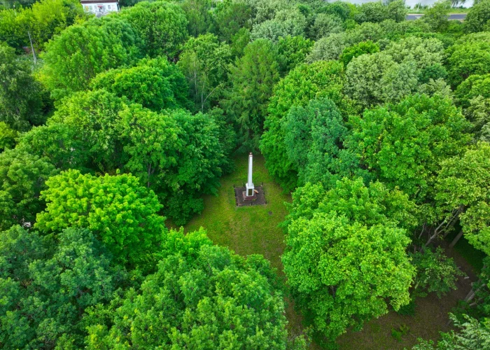 aerial view of Cubbon Park