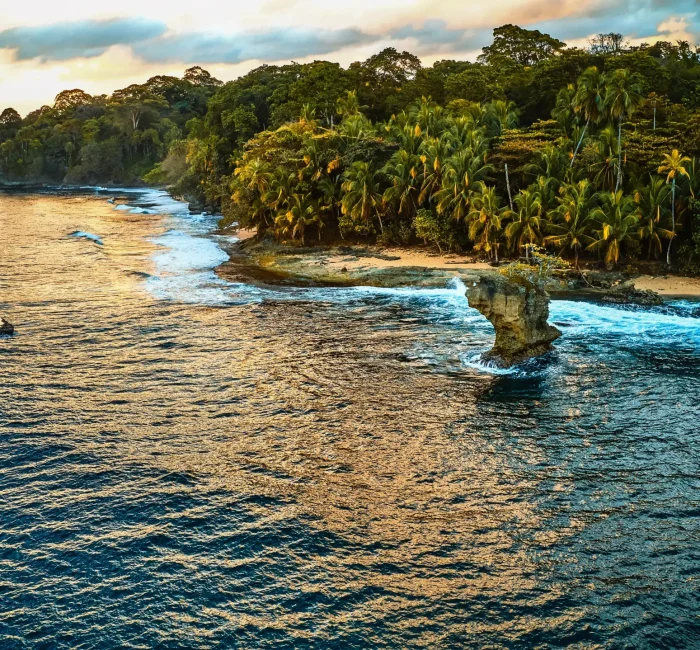 aerial-view-of-a-tropical-coast-ocean-scenery-sur-2025-01-27-01-04-50-utc aerial-view-of-a-tropical-coast-ocean-scenery-sur-2025-01-27-01-04-50-utc