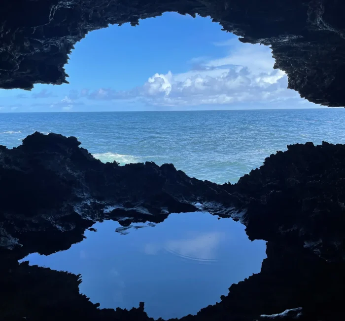 animal-flower-cave-tour animal-flower-cave-tour