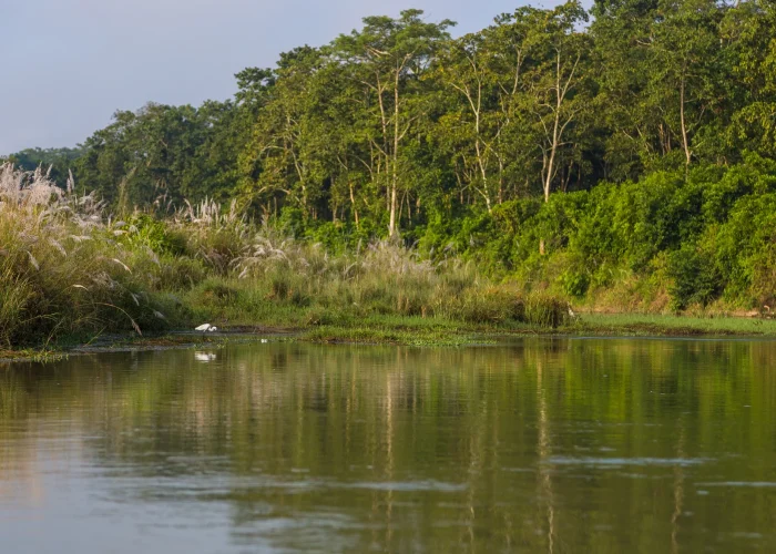 Chitwan National Park