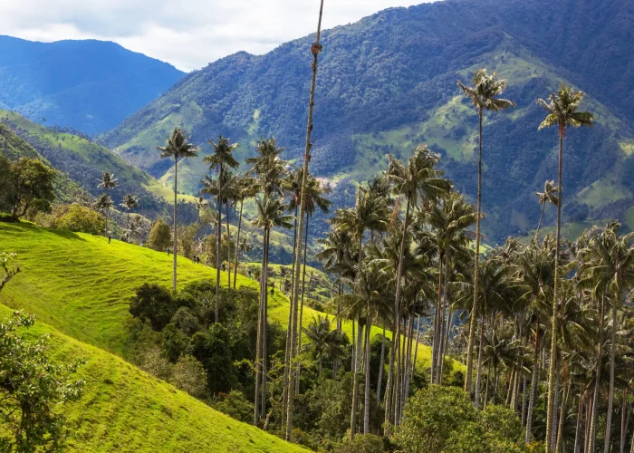 Drone Pilot for Shoot in Sigatoka, Fiji