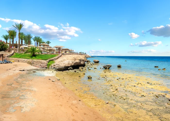 coral-reefs-on-beach-2025-03-08-13-38-30-utc