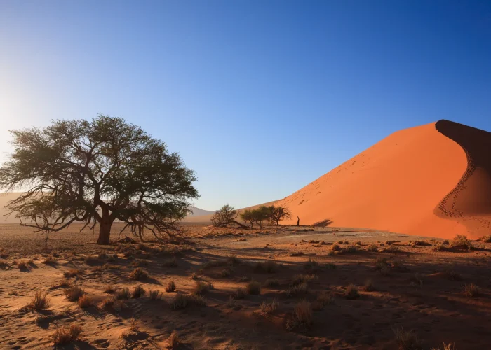 Sossusvlei Sossusvlei