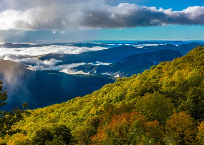 early-morning-autumn-foggy