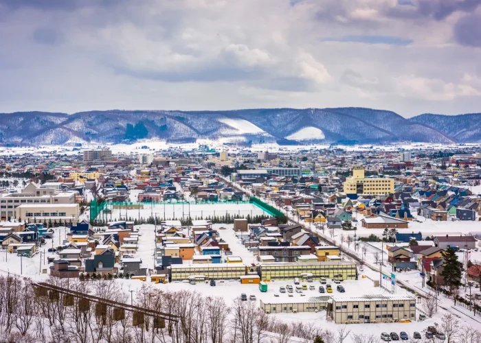Drone Pilot for Shoot in furano-hokkaido-japan