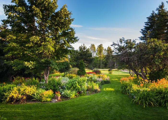 ghandhi bhaag garden