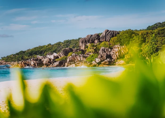 grand-anse-tropical-beach