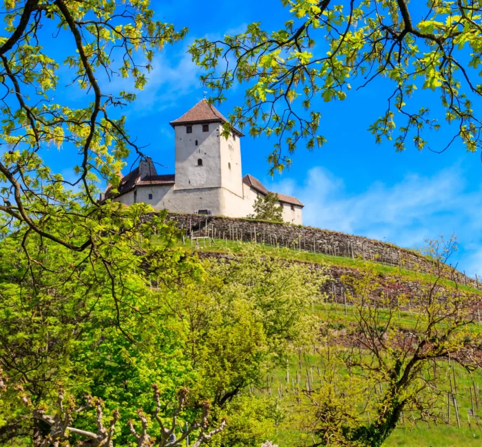 gutenberg-castle-town-balzers-liechtenstein (1) gutenberg-castle-town-balzers-liechtenstein (1)