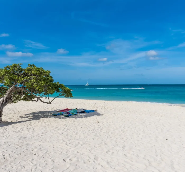 horizontal-shot-view-beach-sea-with-towels-laid-out-tree-aruba horizontal-shot-view-beach-sea-with-towels-laid-out-tree-aruba