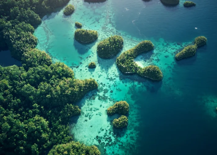 idyllic-indonesia-high-angle-shot