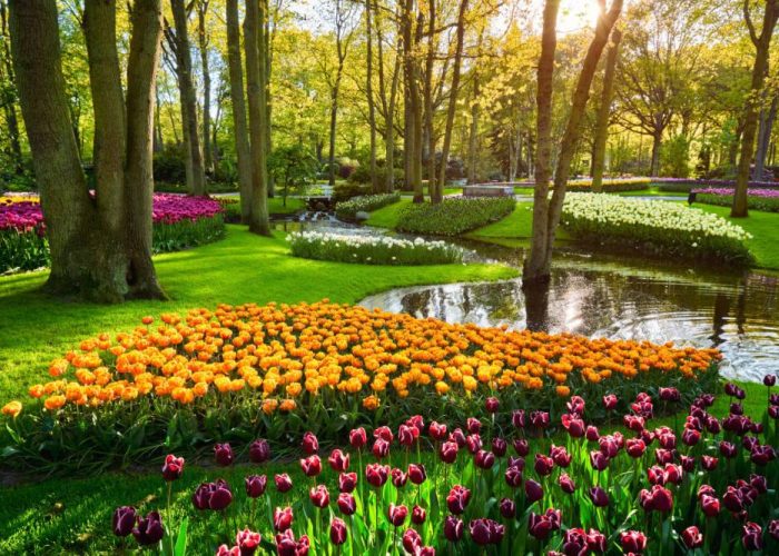 Brownsberg Nature Park