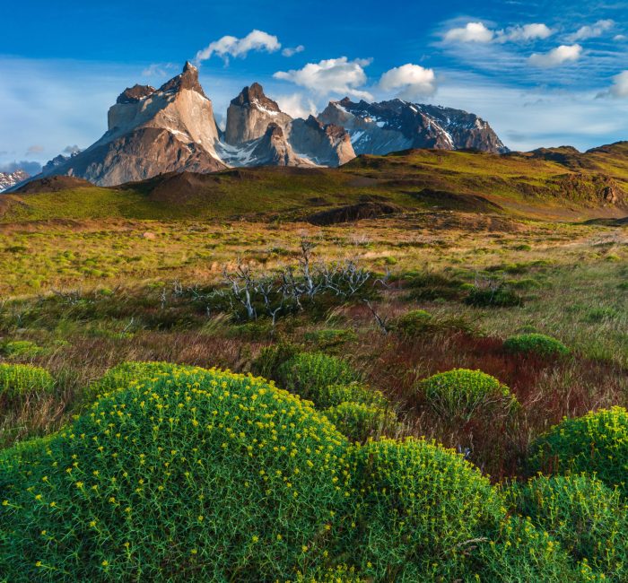 Lago Pehoe, National Park Torres del Paine in southern Chile. Epic beauty of the landscape - the National Park Torres del Paine in southern Chile.