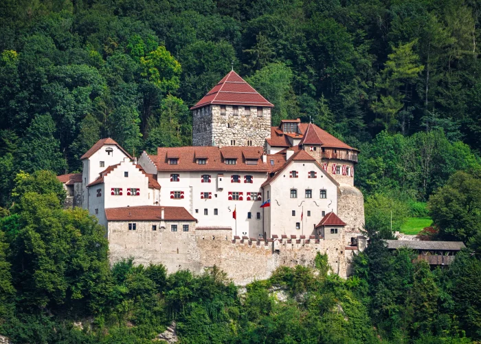 Drone Pilot for Shoot in Vaduz Capital of Liechtenstein