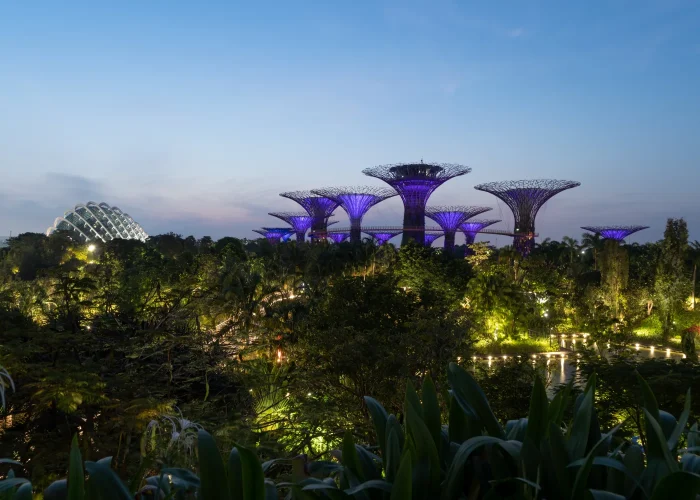 Drone Pilot for Shoot in Gardens by the Bay