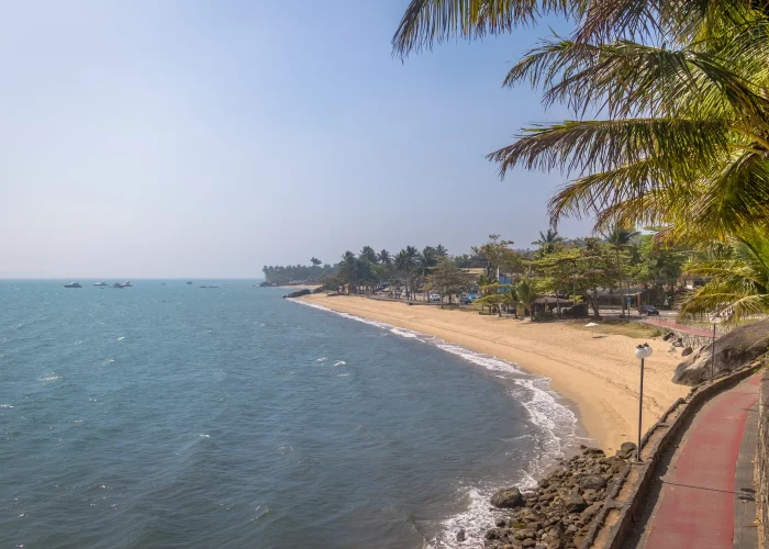 Book Certified Drone Pilots for Shoots in kochi