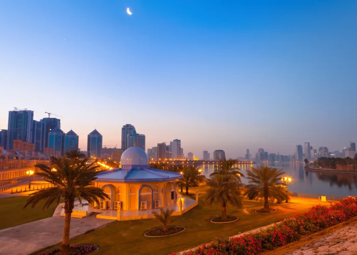 Drone Pilot for Shoot in Sharjah, UAe