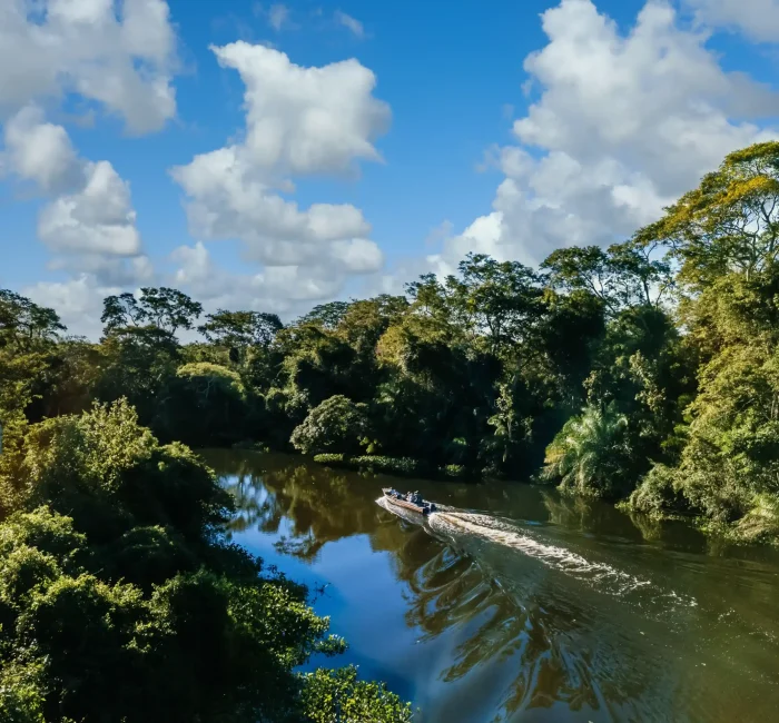 motorboat-lake-surrounded-by-beautiful-green-trees-cloudy-sky (1) motorboat-lake-surrounded-by-beautiful-green-trees-cloudy-sky (1)